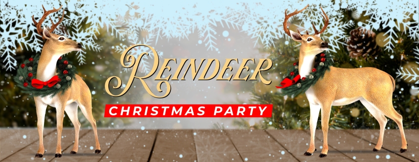 Wickedfun Reindeer Christmas Party Dress Up Outfit Brown