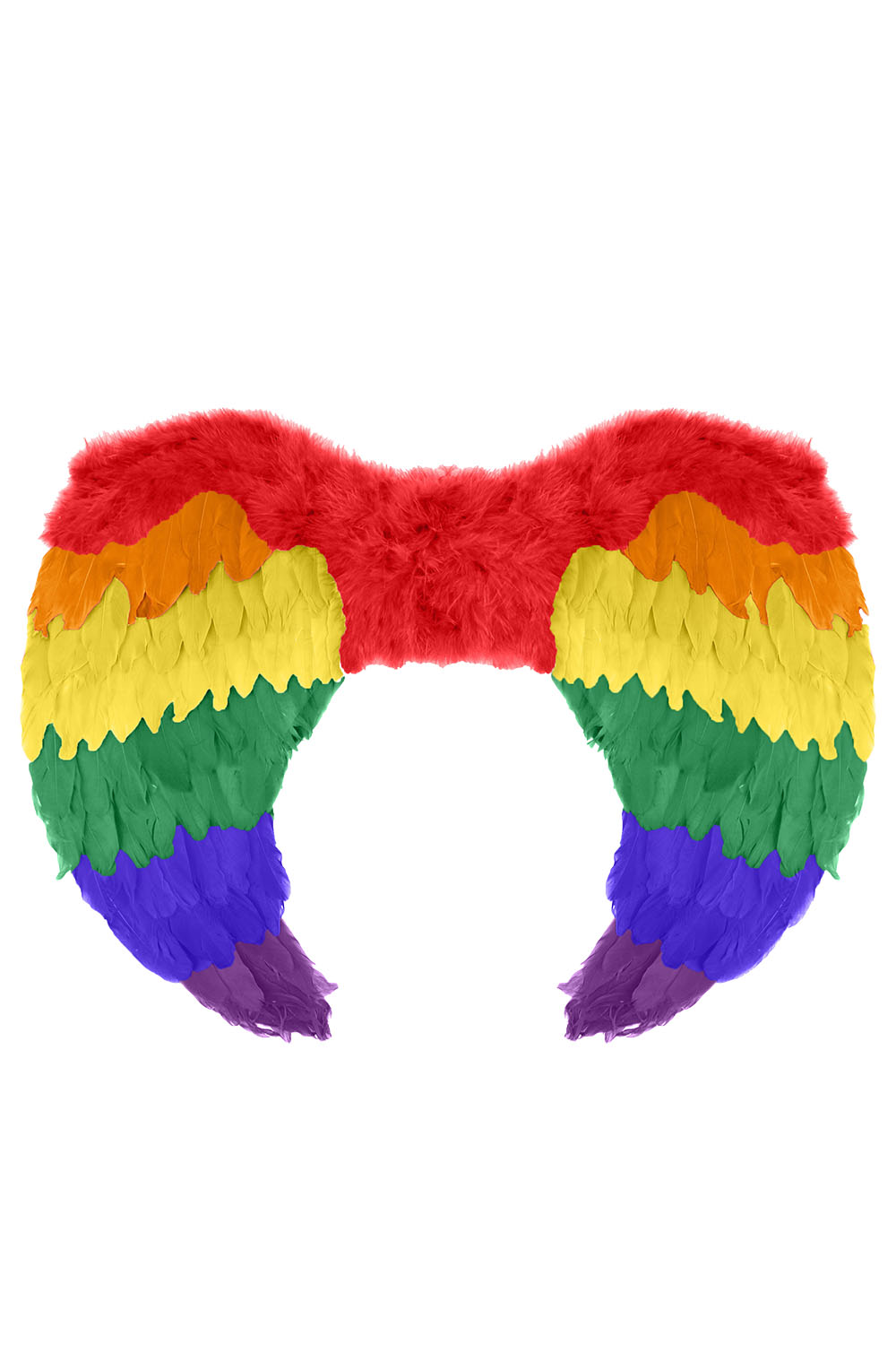 Rainbow Foldable Angel Feather Wings Medium (60 x 40 cm)