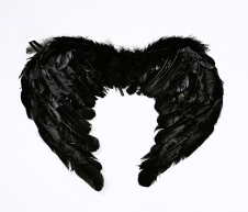 Wickedfun Black Feather Wings with Halo