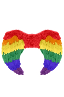 Rainbow Foldable Angel Feather Wings large (80 x 60 cm)