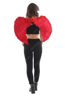 Red Feather Wings Medium(Folding)